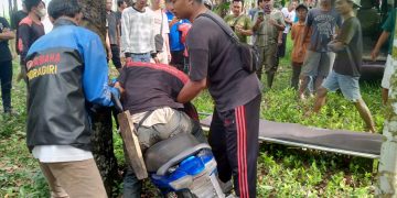 Geger.! Warga Penumangan Baru Penemuan Mayat di Kebun Karet