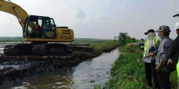 Bupati TuBa, Tinjau Pembangunan Irigasi Rawa Dente Teladas