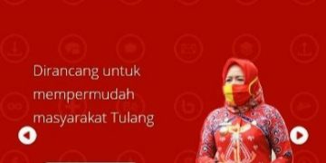 Dinas PMPTSP TuBa Luncurkan Pelayanan Elektronik