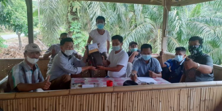 GANDENG DDC, IMO-Indonesia DPW Bengkulu Serahkan Enam Paket Bantuan Website Gratis