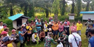 TNI Beri Penyuluhan Tentang Tindakan Pertama Pada Gigitan Ular dan Luka Robek di Perbatsan RI-PNG