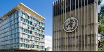 Awas! Sangat Menular, WHO Peringatkan Virus Marburg Berpotensi Menyebar Luas