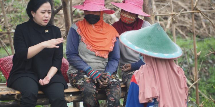 Puan Maharani: Berantas Sindikat Mafia Pupuk Bersubsidi!