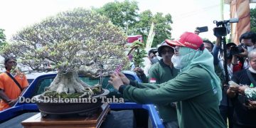 800 lebih bonsai di Pamerkan dalam ajang Pameran bonsai yg dibuka Bupati Tulangbawang Dr. Hj Winarti SE MH