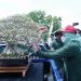 800 lebih bonsai di Pamerkan dalam ajang Pameran bonsai yg dibuka Bupati Tulangbawang Dr. Hj Winarti SE MH