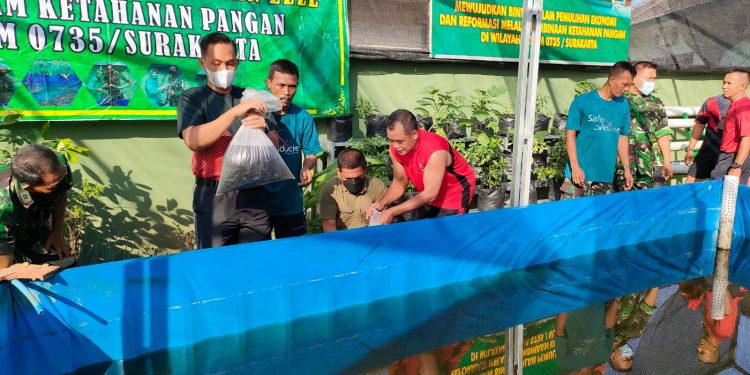 Begini Cara Kodim 0735/Surakarta Dalam Meningkatkan Ketahanan Pangan di Wilayah