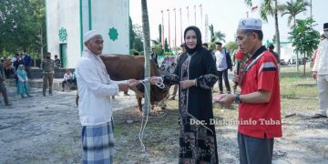 Idul Adha 2022,Bupati Tulang Bawang, Winarti Qurban 1 Ekor Sapi Besar