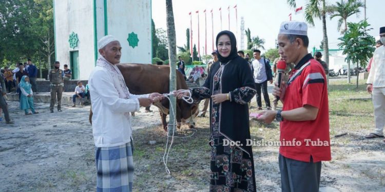 Idul Adha 2022,Bupati Tulang Bawang, Winarti Qurban 1 Ekor Sapi Besar