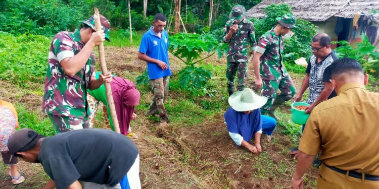 Kegiatan Pelatihan Tematik Teknis Penanaman Jagung dan Kacang di Negeri Wakasihu
