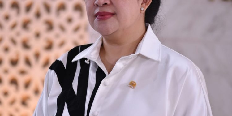 Puan Maharani: Masifkan Sosialisasi dan Edukasi Masyarakat Soal Cacar Monyet
