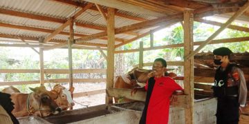 Antisipasi Wabah PMK, Samapta Polres Tulang Bawang Patroli Dialogis ke Peternakan