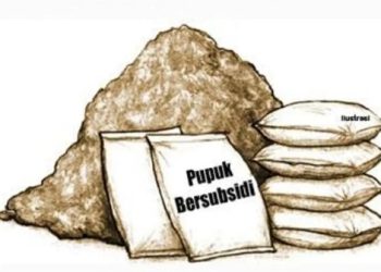 Diduga Oknum Ketua Kelompok Tani di Tiyuh Menggala Mas, Selewengkan Pupuk Bersubsidi