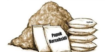 Diduga Oknum Ketua Kelompok Tani di Tiyuh Menggala Mas, Selewengkan Pupuk Bersubsidi