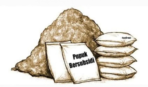 Diduga Oknum Ketua Kelompok Tani di Tiyuh Menggala Mas, Selewengkan Pupuk Bersubsidi