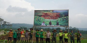 Kolaborasi Pentahelix Korem 071/Wijayakusuma dan Faperta Unsoed Tingkatkan Hanpangan, Tanam Padi Protani Protangguh Mencegah Stunting