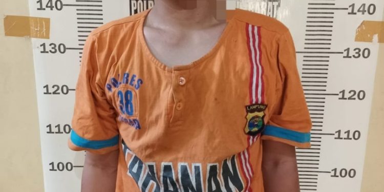 Cabuli Anak Kandung di Bawah Umur, Seorang Ayah Bejat Ditangkap Polisi
