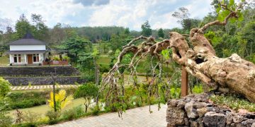 Lembah Ture Destinasi Wisata Baru Tubaba