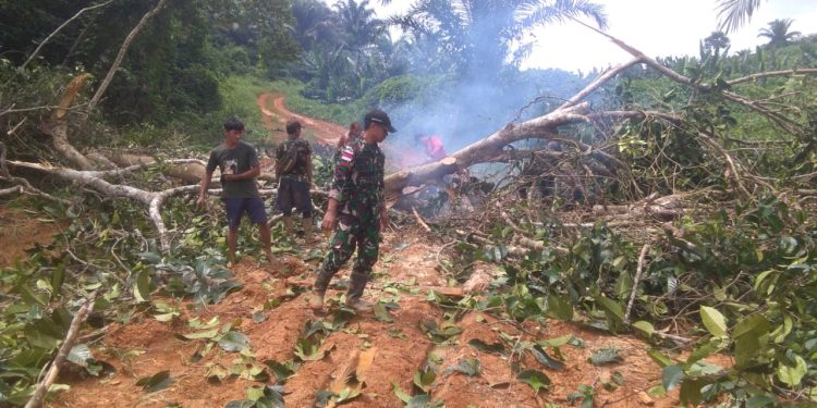 Personel Satgas Pamtas RI-Malaysia Yonarmed 19/105 Trk Bogani Bantu Warga Evakuasi Pohon Tumbang di Jalan Desa Wilayah Perbatasan RI-Malaysia