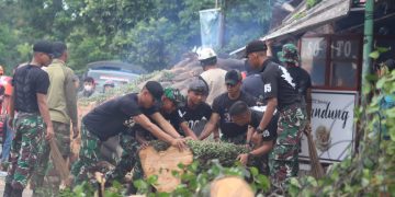 Selalu Sigap, Yonif Raider 300/Bjw Evakuasi Pohon Tumbang Akibat Angin Kencang di Cianjur