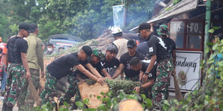 Selalu Sigap, Yonif Raider 300/Bjw Evakuasi Pohon Tumbang Akibat Angin Kencang di Cianjur