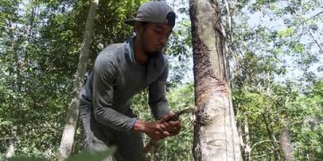 APBI Ingatkan Industri Ban di Indonesia Terancam