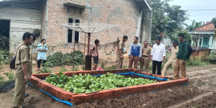 Aparatur Tiyuh Sumber Jaya Pantau Perkembangan Program K3