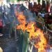 Pemkab Lambar Gelar Festival Budaya Sekala Bekhak ke 9