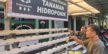 Dukung Ketahanan Pangan, Kodim 0410/KBL Kembangkan Tanaman Hidroponik