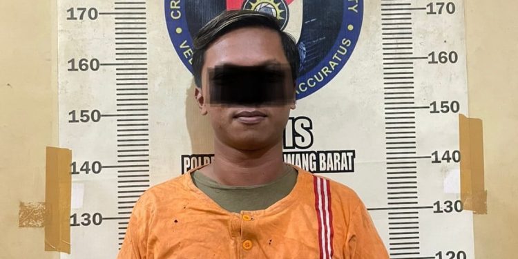 Pelaku Persetubuhan Anak Dibawah Umur Hingga Hamil Akhirnya Dibekuk Sat Reskrim Polres Tulang Bawang Barat