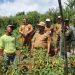 Pj Bupati dan Ketua DPRD Lampung Barat Tinjau Panen Raya Cabai