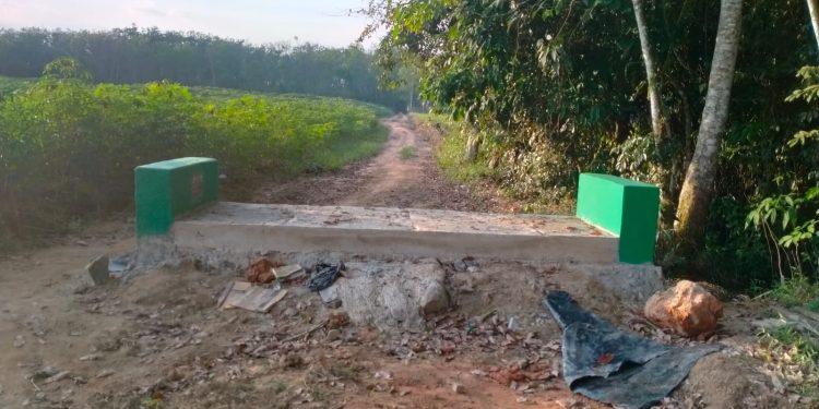 Masyarakat Tiyuh Marga Jaya Terbantu Adanya Gorong-gorong Jalan
