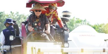 Pj Bupati Tubaba Hadiri Panen Raya Padi di Tiyuh Gading Kencana