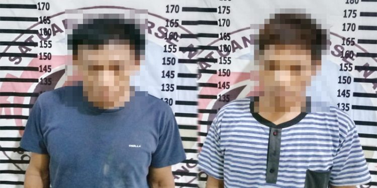 Dua Pengedar Narkotika Ditangkap Polres Tulang Bawang Saat Sedang Bertransaksi di Kebun