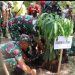 Karya Bakti Penanaman Pohon dalam Rangka Hari Juang TNI AD Tahun 2023 Wilayah Kodim 0410/KBL
