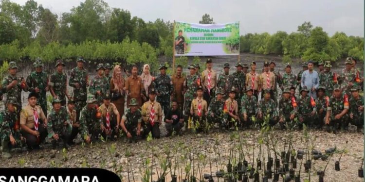 Tanam 9000 Manggrove, Kodim 0103/Aceh Utara Laksanakan Secara Serentak dengan Kasad