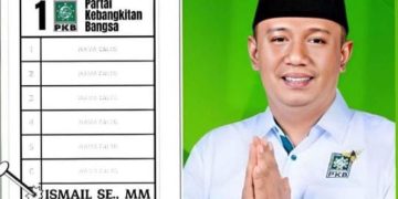 Ismail S.E,M.M Caleg DPRD Lamsel dari Partai PKB Dapil 7 Memperoleh Suara Tertinggi