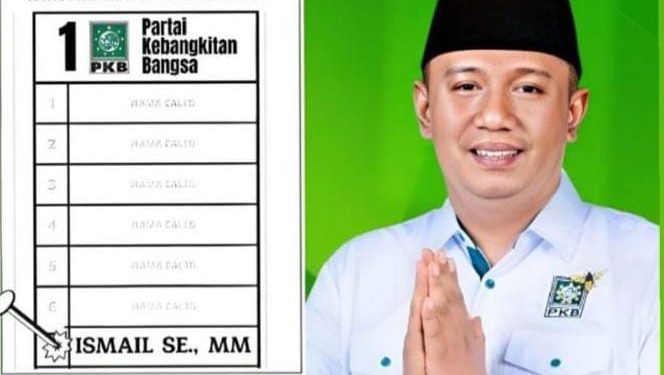 Ismail S.E,M.M Caleg DPRD Lamsel dari Partai PKB Dapil 7 Memperoleh Suara Tertinggi