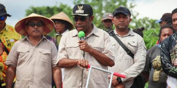 Tanam Jagung dalam Rangka Peringatan HUT ke 21 Kabupaten Keerom