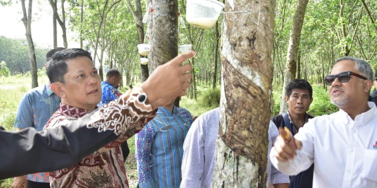 Pemkab Tubaba dan Muhammadiyah Buka Investasi Bagi Mercu Biotech Group