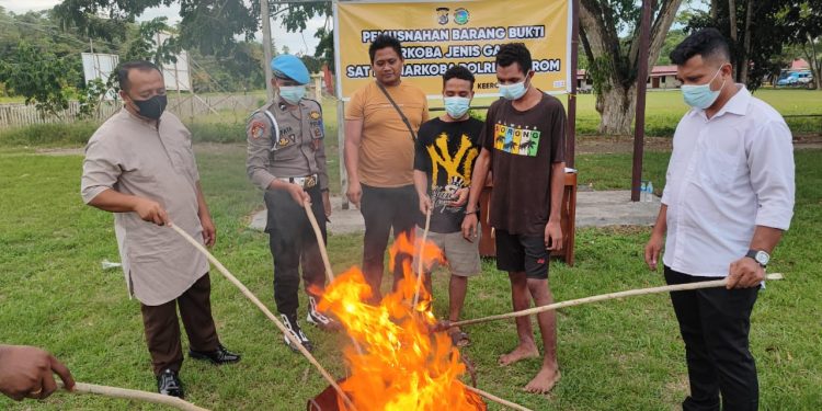 Sat Resnarkoba Polres Keerom Musnahkan Narkotika Jenis Ganja Seberat 9,9 Gram