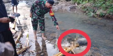 Geger ! Ditemukan Mayat Bayi di Sungai Way Tapus, Ini Kata Babinsa Koramil TBU