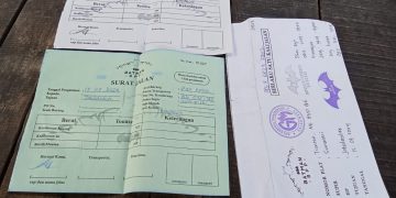 Berikut Daftar Perusahaan Angkutan Batu Bara yang Melintas Jalan Negara Tanpa Izin Diduga Ilegal