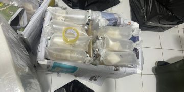 Polda Lampung Gagalkan Penyelundupan 149.400 Benih Lobster Tanpa Izin