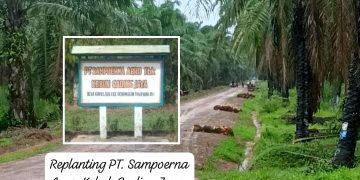 Oknum GM PT. Sampoerna Agro Diduga Menjual Barang Ilegal: Perusahaan Tutup Mata?