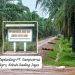 Oknum GM PT. Sampoerna Agro Diduga Menjual Barang Ilegal: Perusahaan Tutup Mata?