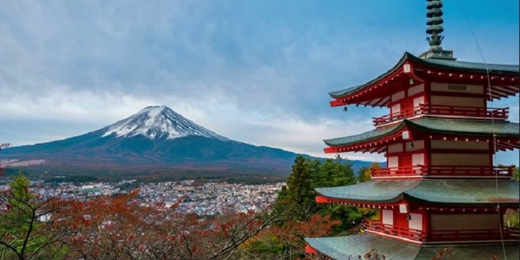 Panduan Mengatur Private Tour Jepang untuk Pemula