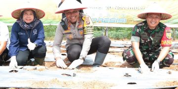 Polres Tuba Launching Gugus Tugas Dukung Ketahanan Pangan, Berikut Kegiatannya