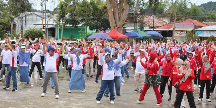 Pj. Bupati Lampung Barat : Kesehatan Adalah Investasi Mahal