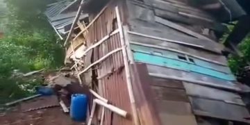 Kawanan Gajah Rusak 7 Rumah Warga di Kabupaten Tanggamus