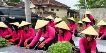 Launching Penguatan Program P2L, Bhayangkari Cabang Way Kanan Manfaatkan Tanam Sayur Mayur